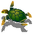 Schildkrote tiere bilder