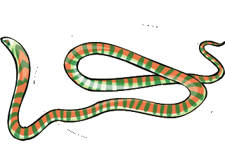 Schlangen