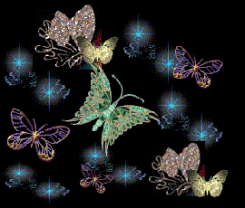 Schmetterlinge tiere bilder