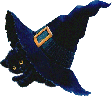 Schwarze katze