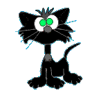Schwarze katze tiere bilder