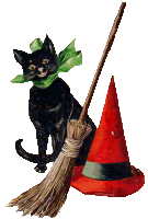 Schwarze katze tiere bilder