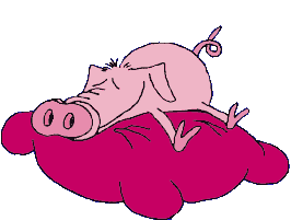 Schweine tiere bilder