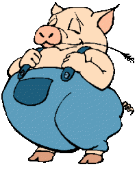 Schweine tiere bilder
