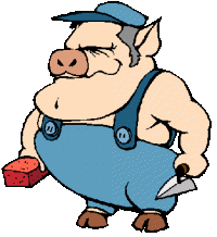 Schweine tiere bilder