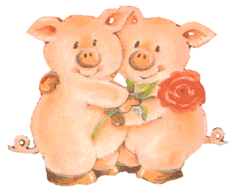 Schweine tiere bilder
