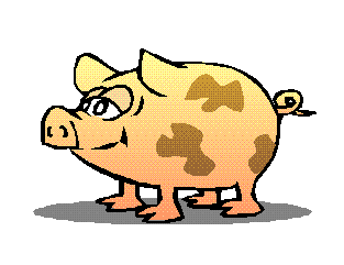 Schweine tiere bilder