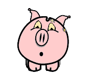Schweine tiere bilder