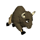 Stiere tiere bilder