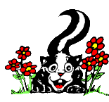 Stinktiere tiere bilder