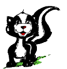 Stinktiere tiere bilder
