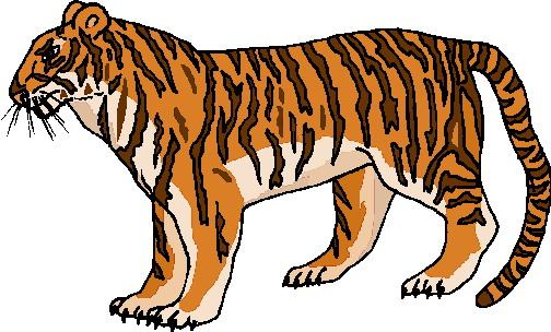 Tigers