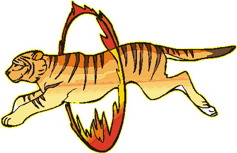 Tigers tiere bilder