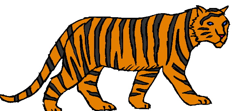 Tigers tiere bilder