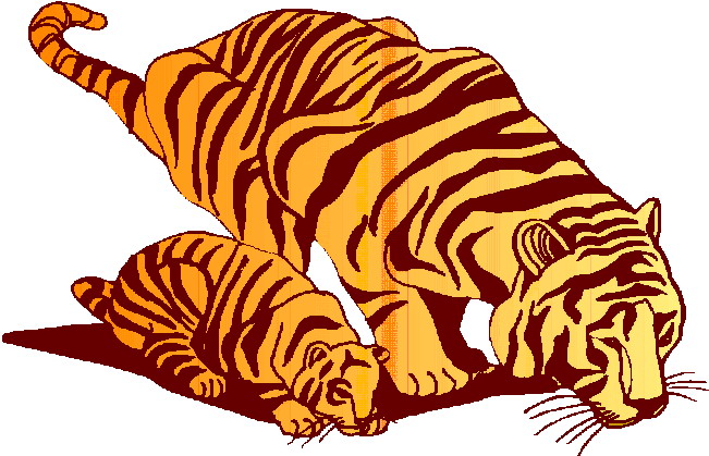 Tigers