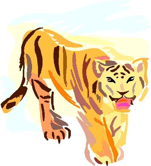 Tigers tiere bilder