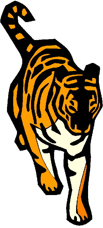 Tigers tiere bilder