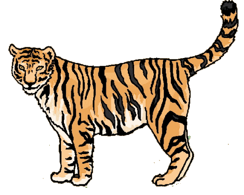 Tigers