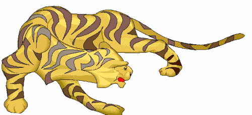 Tigers tiere bilder