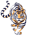 Tigers tiere bilder