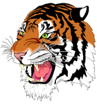 Tigers