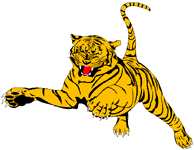 Tigers