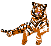 Tigers