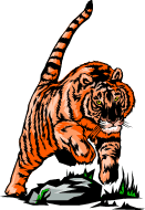 Tigers tiere bilder