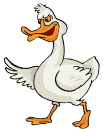 Ganse vogel bilder