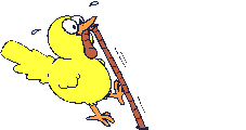 Huhn vogel bilder