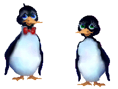 Pinguin vogel bilder