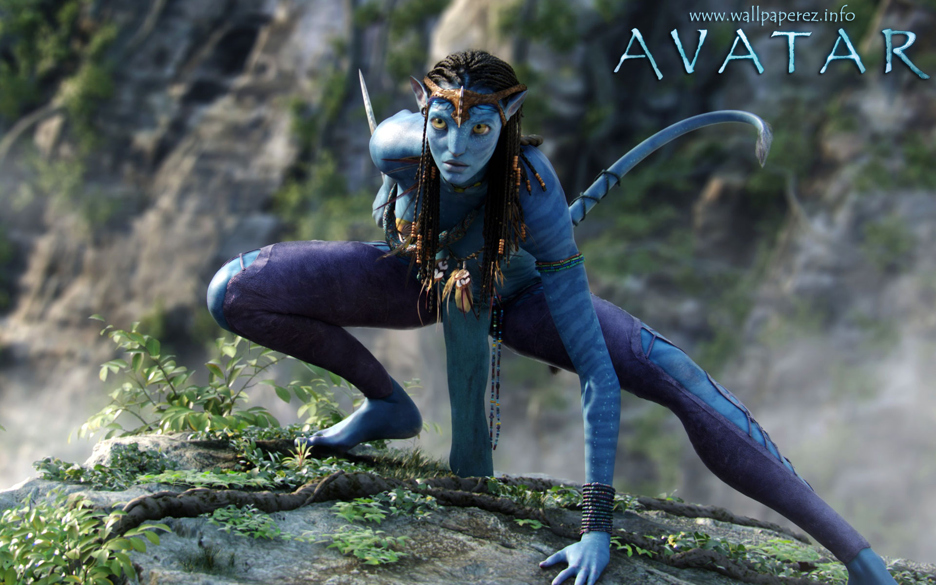 Avatar