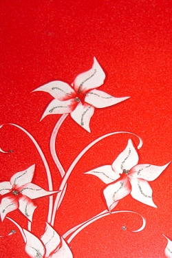 Blumen wallpapers
