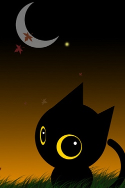 Katzen wallpapers