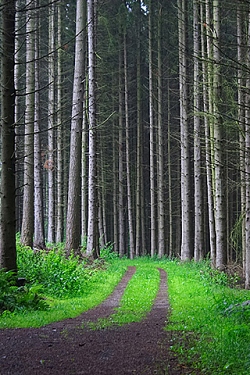 Landschaft und natur