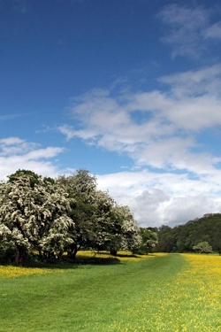 Landschaft und natur