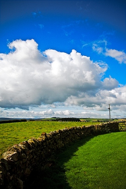 Landschaft und natur