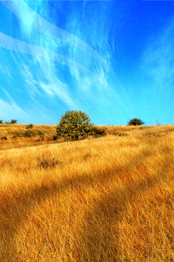 Landschaft und natur