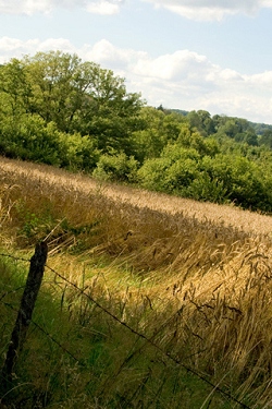 Landschaft und natur