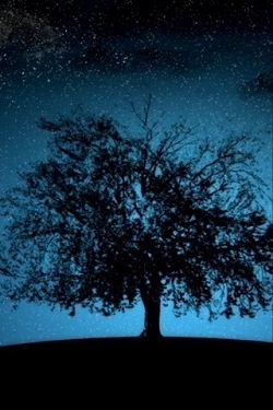 Landschaft und natur wallpapers