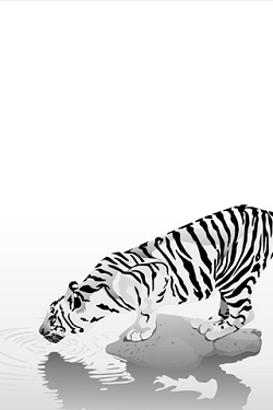 Tigers