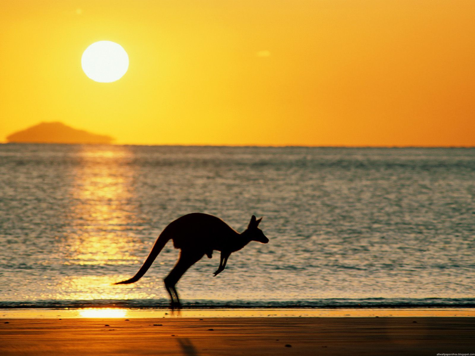 Australien wallpapers