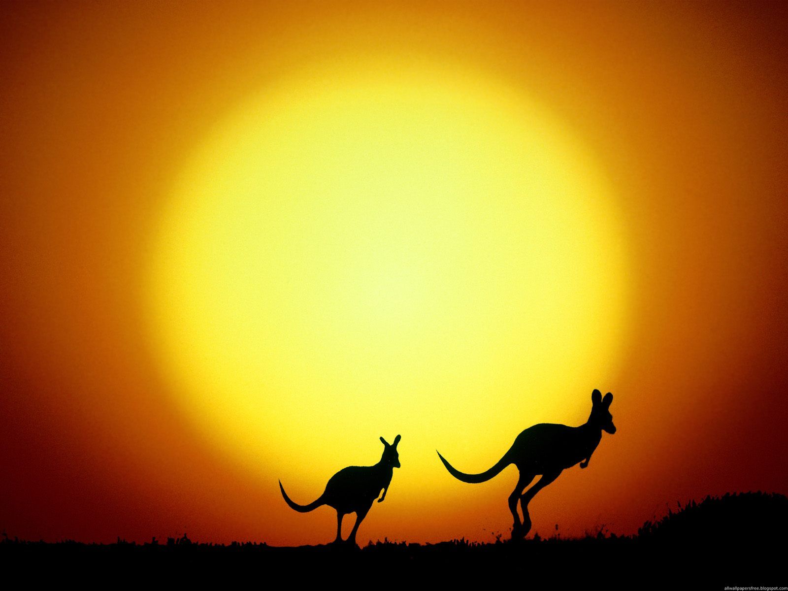 Australien wallpapers