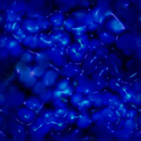 Blau wallpapers