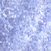 Blau wallpapers