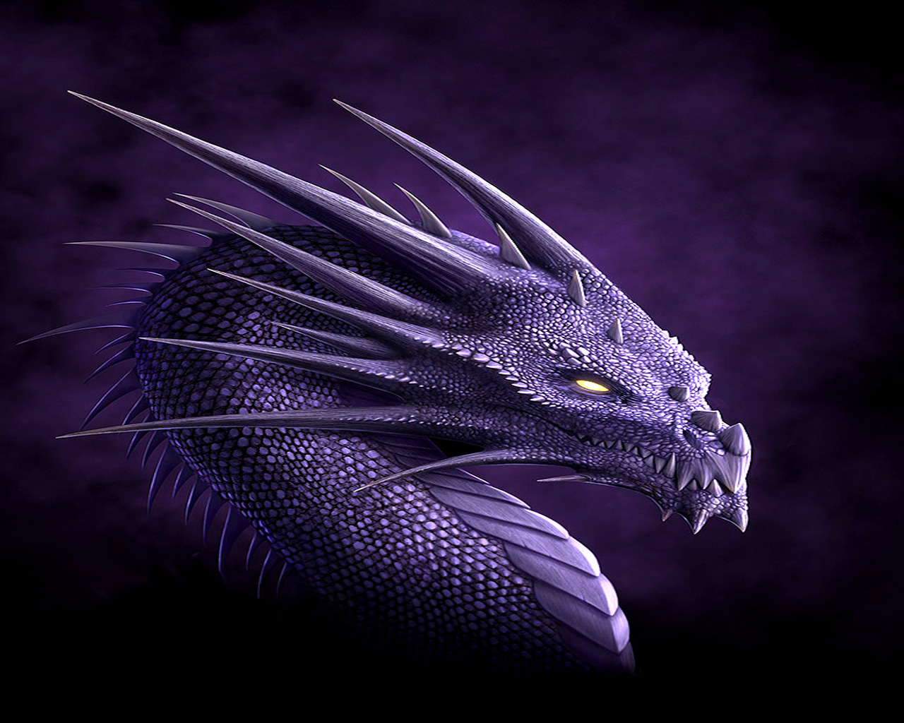 Drachen wallpapers