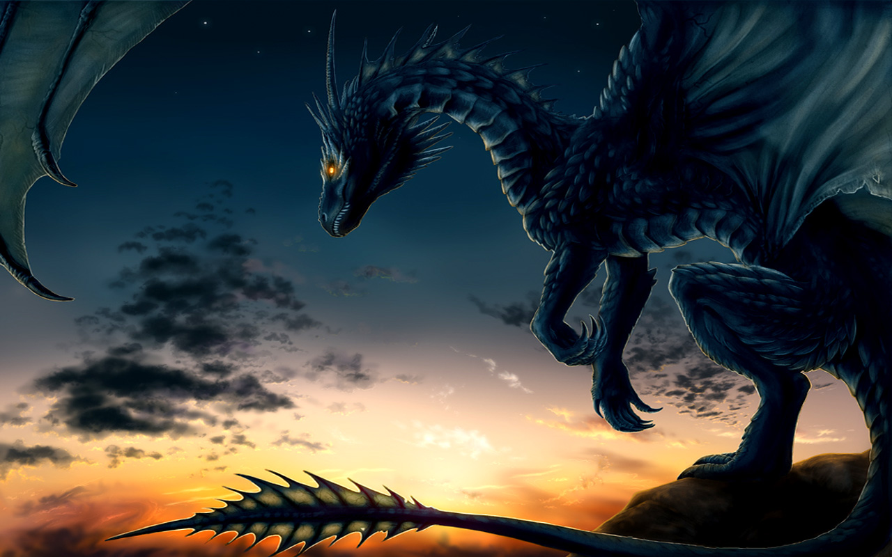 Drachen wallpapers