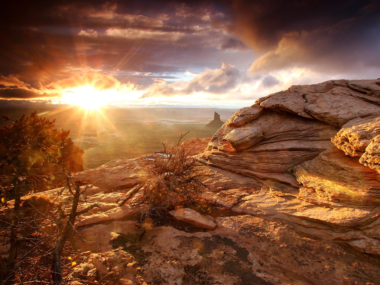 Felsen