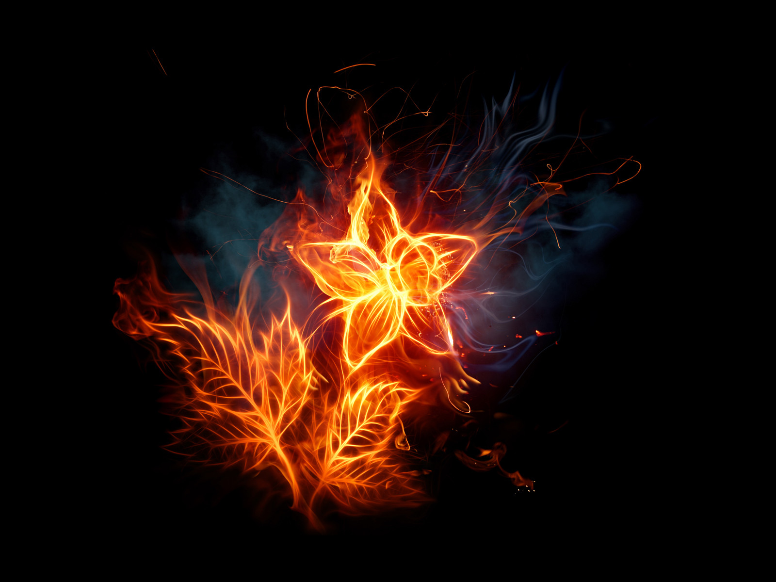 Feuer effekte wallpapers