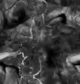 Grau wallpapers